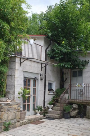Apartments with a swimming pool Buzet, Central Istria - Sredisnja Istra - 21453